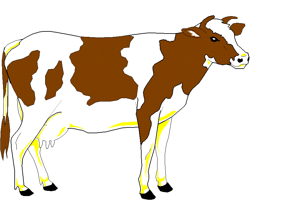 Our Cow
